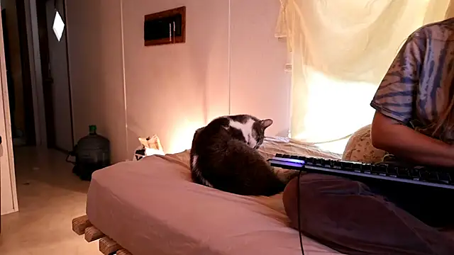 xxpixeyxx online show from April 21, 2:34 pm