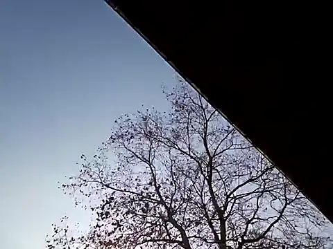 Mia Railey online show from March 7, 3:49 pm