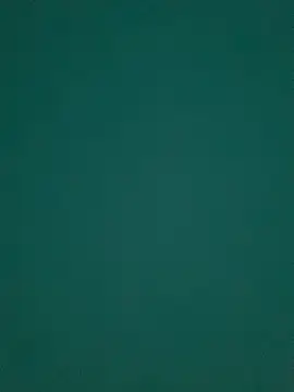 Ruby bear online show from March 8, 8:55 am