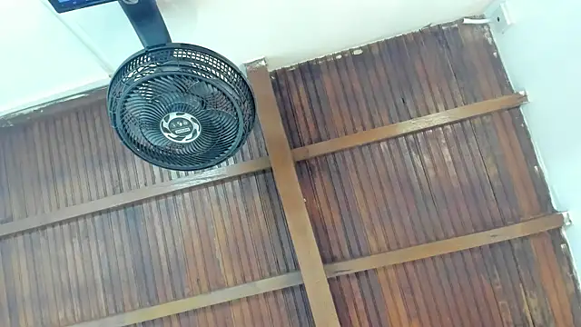 emily-fox online show from April 21, 11:05 am