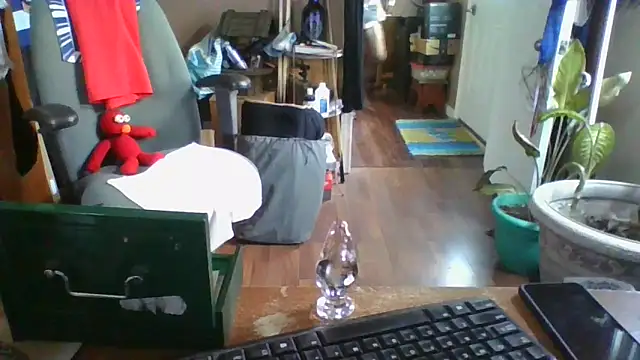 Snapshot of Daremeknot chatting on December 30, 7:00 pm Daremeknot online show from December 30, 7:00 pm