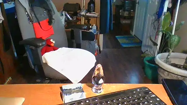 Snapshot of Daremeknot chatting on December 31, 2:25 pm Daremeknot online show from December 31, 2:25 pm