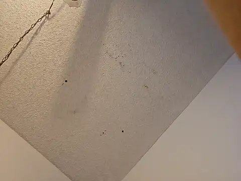 Snapshot of anyway2cum chatting on January 19, 2:59 pm anyway2cum online show from January 19, 2:59 pm