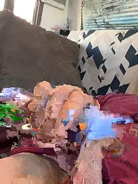 Followthepiper online show from September 13, 10:31 pm