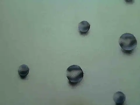 Jillian Pattie online show from January 7, 4:59 pm