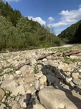 artXhibitor online show from September 29, 1:16 pm