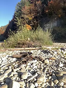 artXhibitor online show from October 18, 2:29 pm