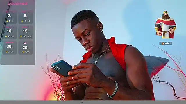 Snapshot of mike_wallace chatting on December 2, 8:11 pm mike wallace online show from December 2, 8:11 pm