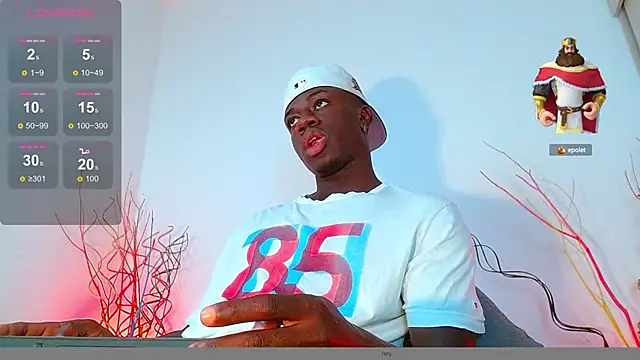 Snapshot of mike_wallace chatting on December 7, 7:54 pm mike wallace online show from December 7, 7:54 pm