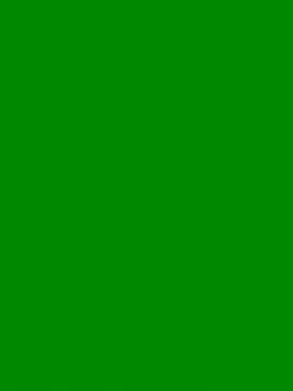 AurorHarris online show from December 18, 1:45 pm