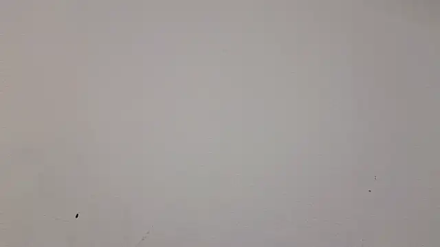   Nina online show from February 19, 1:06 pm