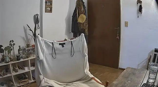 Snapshot of stupid_babybird chatting on December 21, 4:52 am stupid babybird online show from December 21, 4:52 am