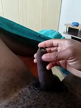 Sunbeam11 online show from April 29, 10:08 am