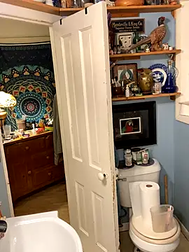 sexyasscougar online show from October 6, 7:39 am