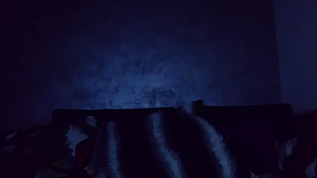 10in deluxe online show from December 19, 7:43 pm