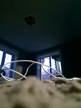 WhoreAnalsssxxx online show from March 31, 3:56 pm