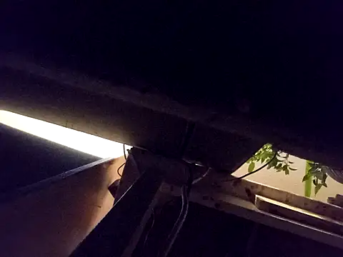 Snapshot of Daminou28 chatting on October 19, 11:16 pm Daminou28 online show from October 19, 11:16 pm