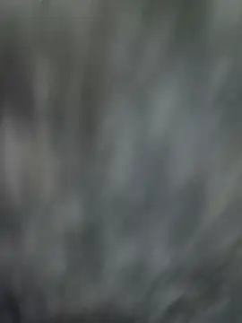 NaiveAlly5 online show from September 25, 7:34 am