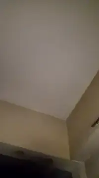 Snapshot of gala2 chatting on January 19, 6:31 am gala2 online show from January 19, 6:31 am