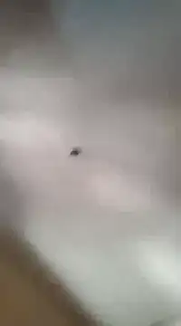 Snapshot of gala2 chatting on March 5, 6:01 pm gala2 online show from March 5, 6:01 pm