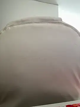 Snapshot of pamell_col chatting on November 2, 1:24 pm pamell col online show from November 2, 1:24 pm