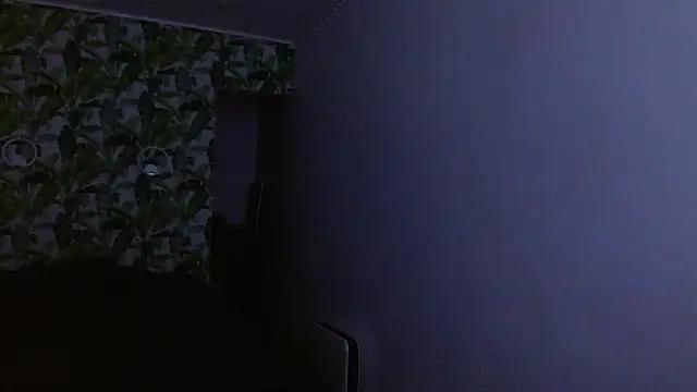 Snapshot of Olivia_shine chatting on November 24, 5:18 am Olivia shine online show from November 24, 5:18 am