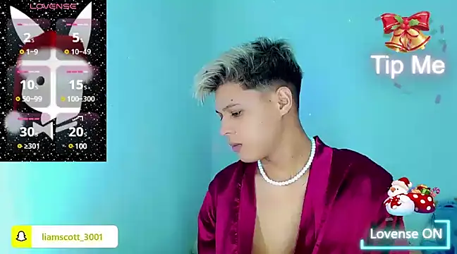 Liamscott  online show from December 14, 10:50 pm