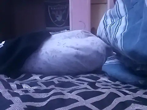 Blkstylion online show from February 5, 7:07 pm