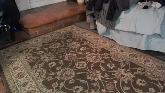 Dark Asteroid online show from March 5, 12:23 pm