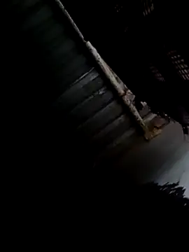 Moreno1813 online show from February 9, 8:33 am