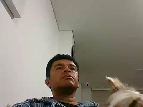 Snapshot of perxxxeo_ chatting on October 11, 1:38 am perxxxeo  online show from October 11, 1:38 am