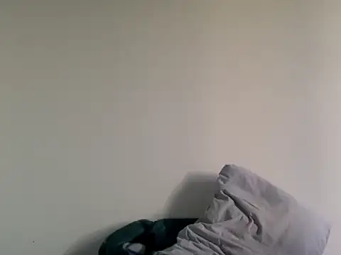 molozeb online show from November 11, 3:45 pm