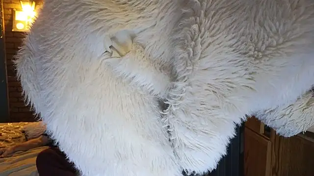 Snapshot of PropertyAndBiker chatting on December 7, 2:20 am PropertyAndBiker online show from December 7, 2:20 am