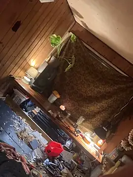 SexToyOnely online show from February 6, 8:56 pm