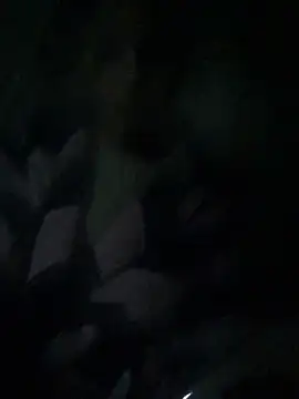 ChantalXOrchid online show from April 4, 10:51 pm