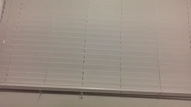 lilboygonewild online show from November 14, 10:58 am