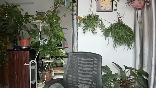 Oliver Nl online show from April 16, 4:46 am