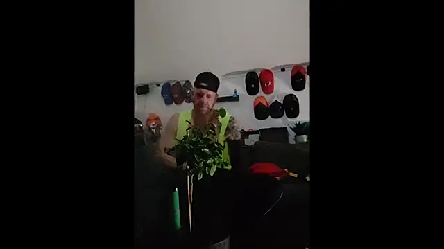 eltoulou online show from January 12, 6:05 pm