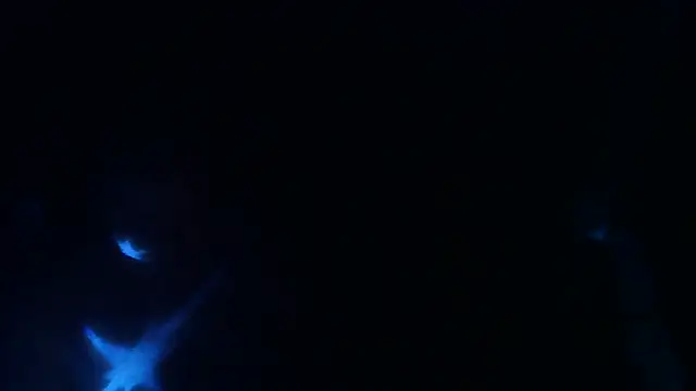 Snapshot of perversalus chatting on May 9, 1:22 am perversalus online show from May 9, 1:22 am
