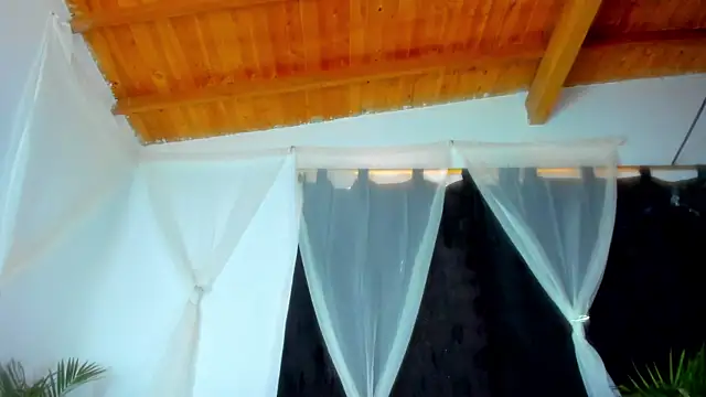 esteveen ortegas  online show from December 2, 6:47 pm