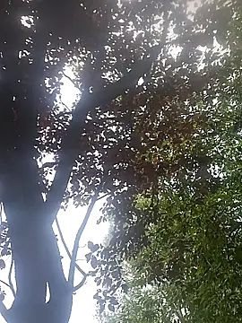Snapshot of Hancoxx chatting on July 20, 10:39 am Hancoxx online show from July 20, 10:39 am