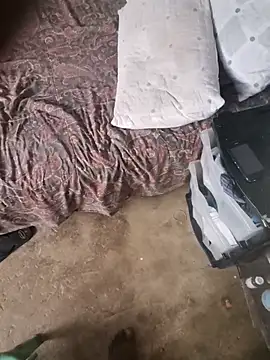 lazyeyes online show from November 3, 8:37 am