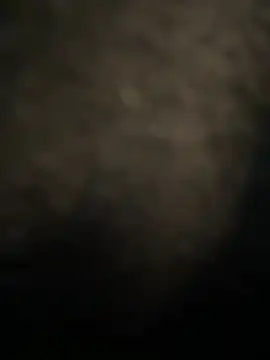 Mila Morgan online show from March 2, 10:05 pm