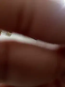 Mila Morgan online show from March 7, 2:01 pm