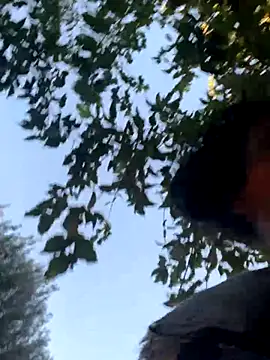 Snapshot of starrynikki chatting on October 24, 2:24 pm starrynikki online show from October 24, 2:24 pm