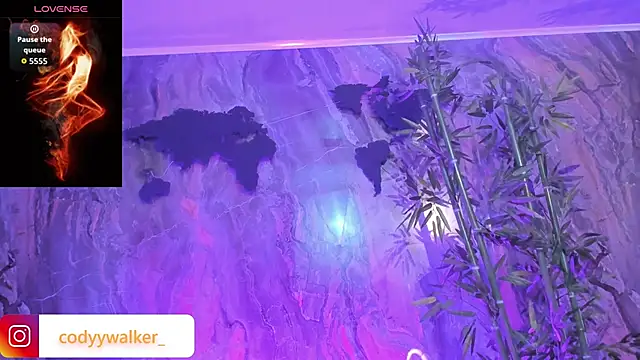 CodyWalkerR online show from April 15, 11:27 pm