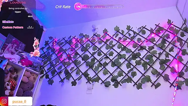 Snapshot of Pucaa_ chatting on January 28, 12:57 am Pucaa online show from January 28, 12:57 am