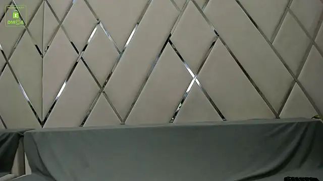 Snapshot of BrandonNorris chatting on January 20, 3:48 am BrandonNorris online show from January 20, 3:48 am