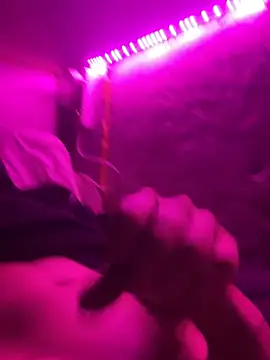 Boysex227 online show from June 17, 8:21 pm