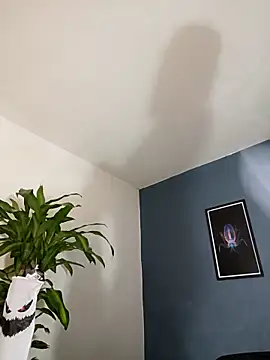 SilvaBranko online show from November 4, 10:09 pm